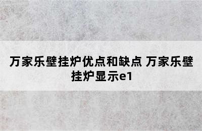 万家乐壁挂炉优点和缺点 万家乐壁挂炉显示e1